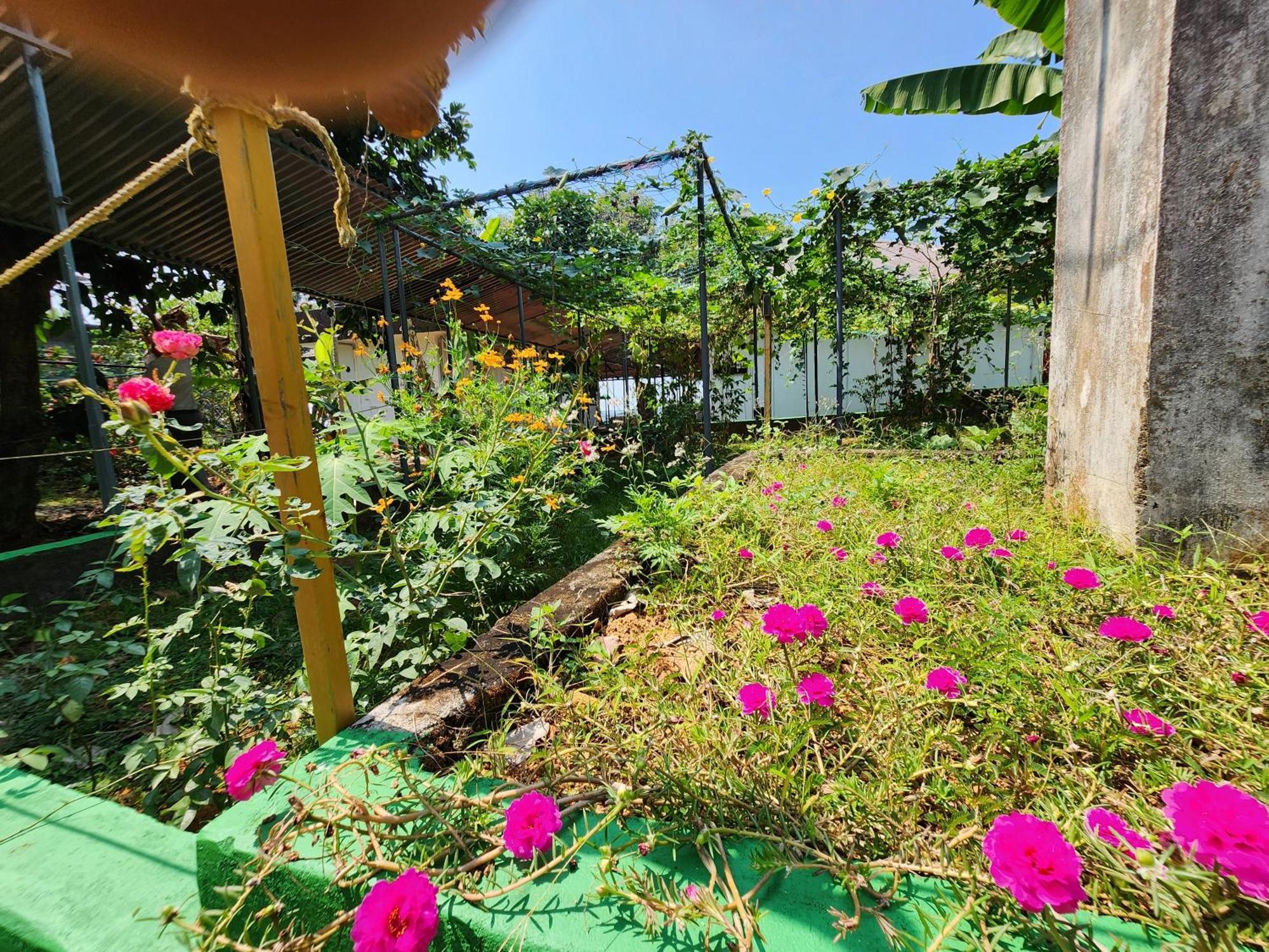 Illikkalam Lakeside Cottages Kumarakom Kerala エクステリア 写真
